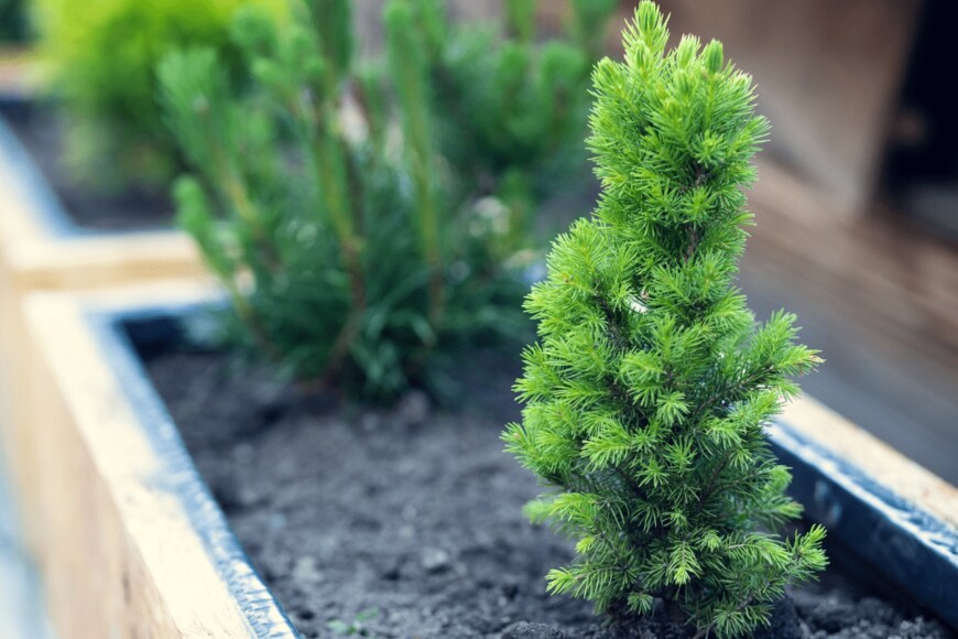 rzoze19/istockphoto.com