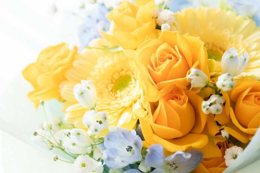 shironagasukujira/istockphoto.com