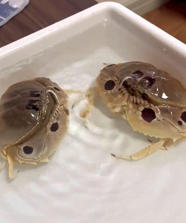 出所：@K_theHermit