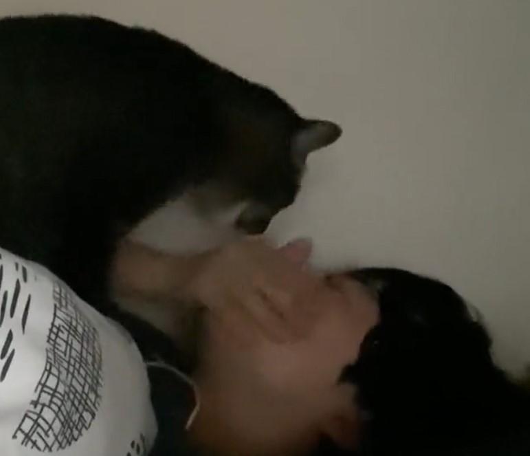 出所：@00shitemita