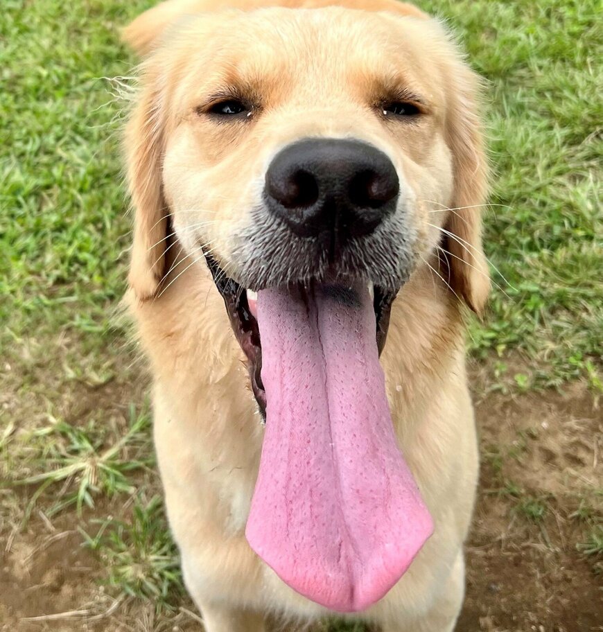 出所：@pu_channeldesu