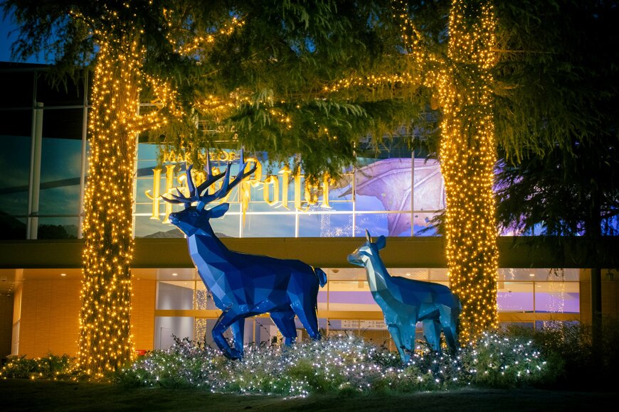 出所：ワーナー ブラザース スタジオ ジャパン合同会社「ワーナー ブラザース スタジオツアー東京 - メイキング・オブ・ハリー・ポッター、ホグワーツ・イン・ザ・スノー 日本初上陸記念「大広間ライトアップセレモニー」を実施」