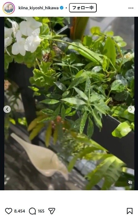 出所：氷川きよしのInstagram（＠kiina_kiyoshi_hikawa） 参照日：2026年2月26日