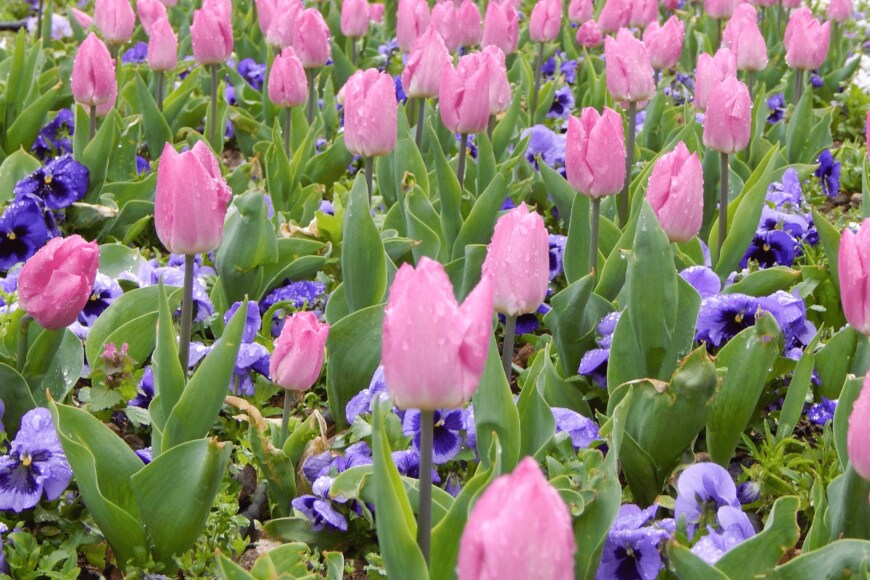 Lidija Zivic/istockphoto.com