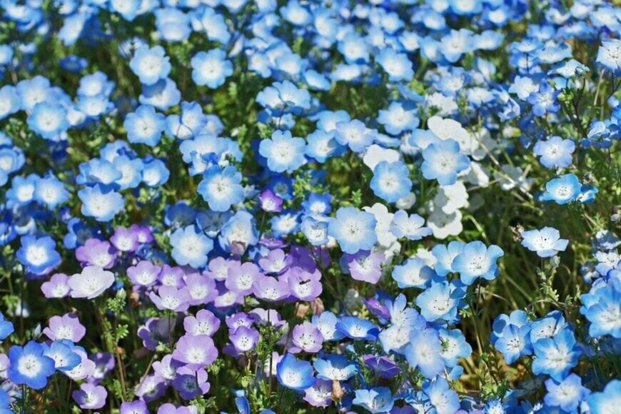 igaguri_1/istockphoto.com