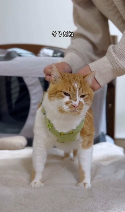 出所：＠monburan_sanpo