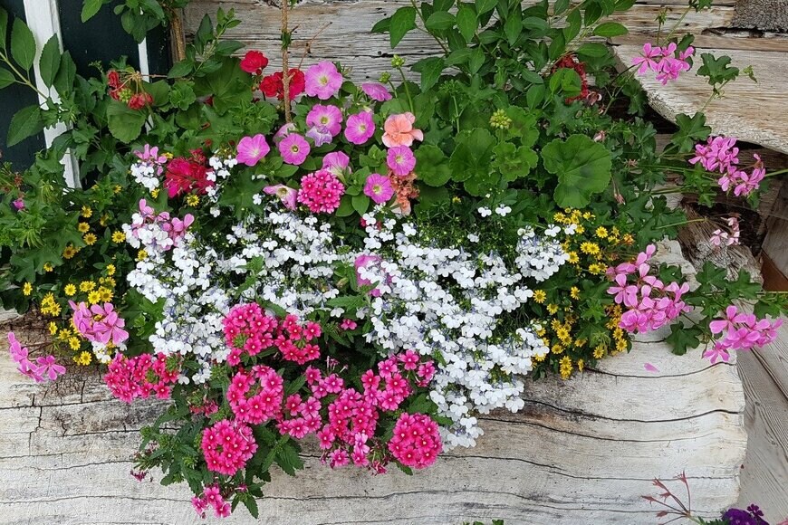 emer1940/istockphoto.com