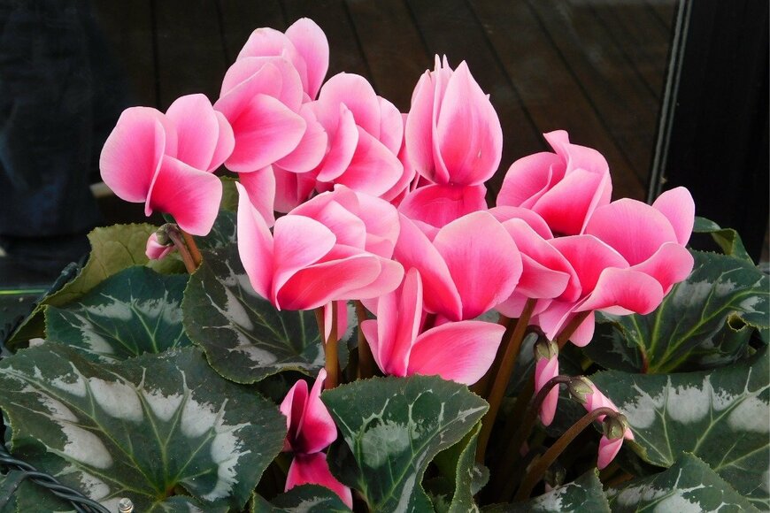 Konstantinos Livadas/istockphoto.com