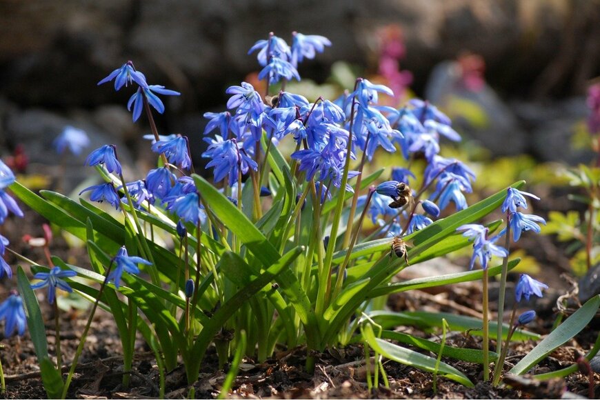 np-e07/istockphoto.com