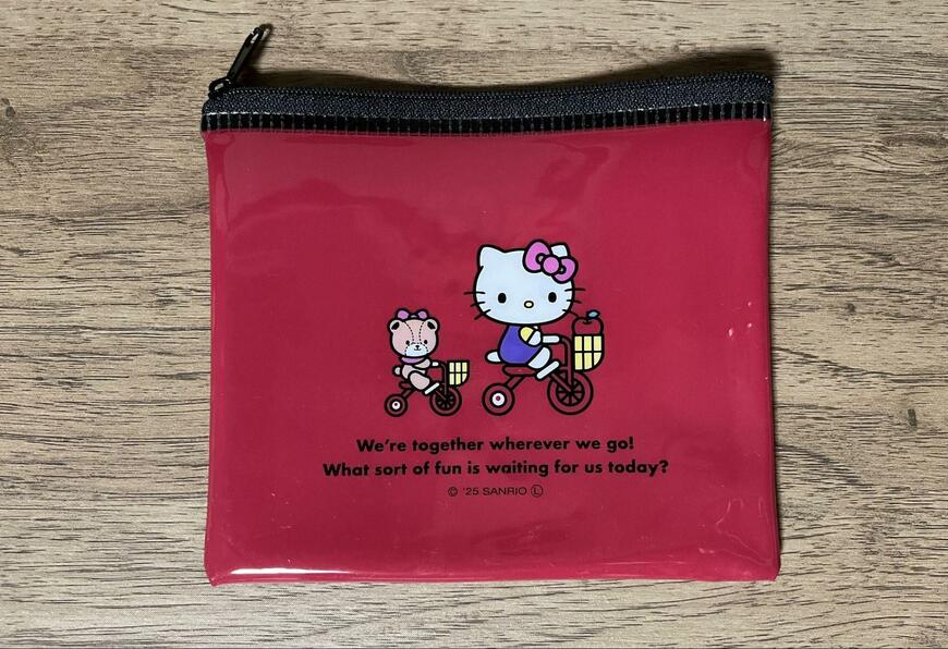 筆者撮影（キャンドゥ、ミニフラットポーチ KT ニュースタンダード）