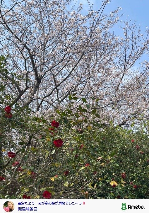 出所：假屋崎省吾の公式ブログ　参照日：2026年3月31日