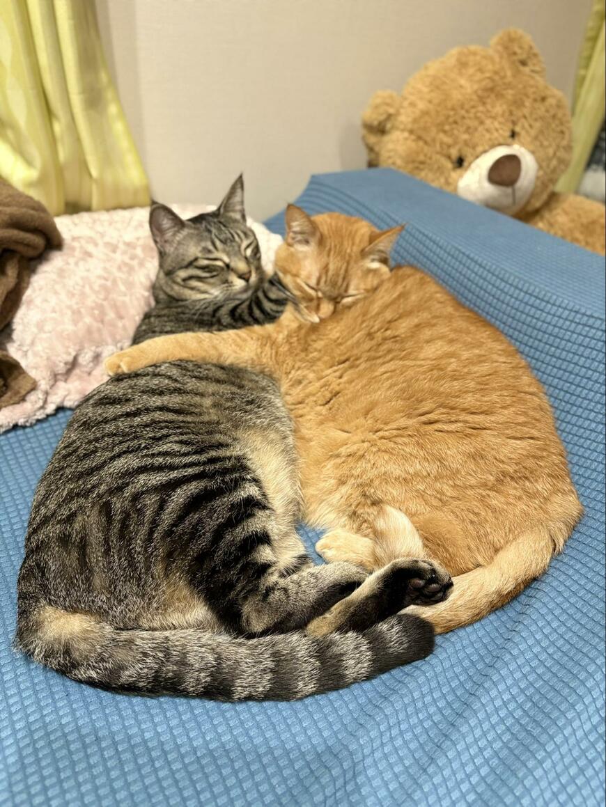 出所：@kagisuzu0531