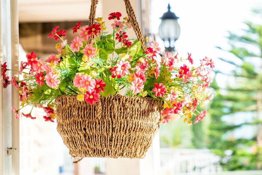 オレンジ色の花。ハンギングバスケットに植えられている
