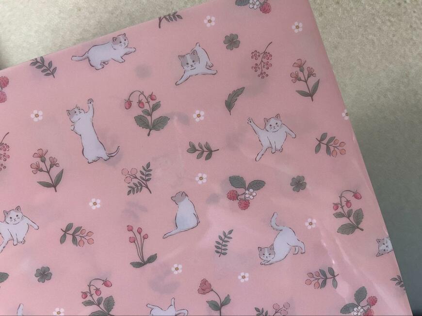 セリア、LJP A4　クリアホルダー 3ポケットネコの画像