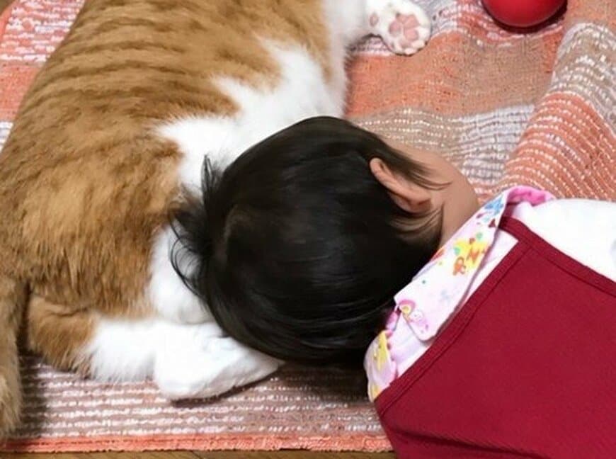 小さな子にまくらにされるふうたくん