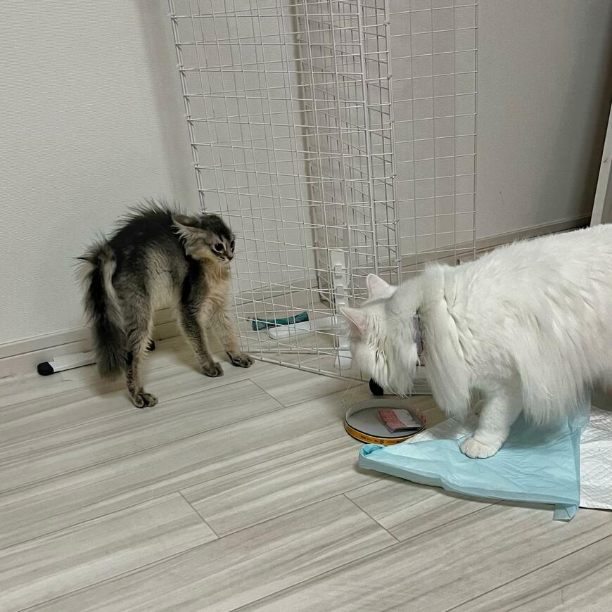投稿の画像