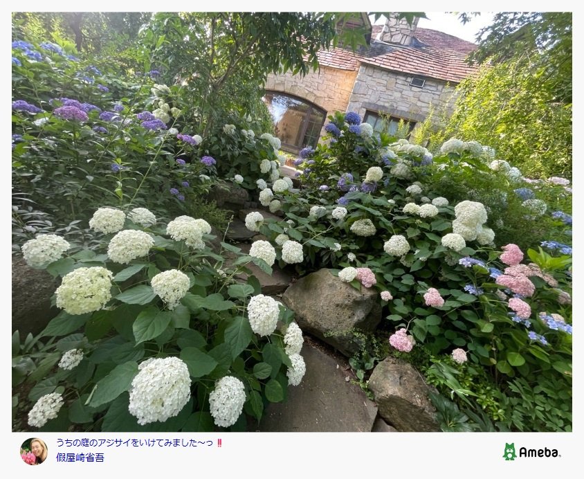 假屋崎省吾のAmebaブログ投稿