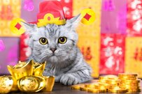 【年金】6月14日支給分からの「厚生年金と国民年金」いくら増加？年金振込通知書も徹底解説