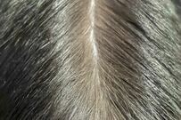 「人間の頭頂部」にしか見えない1枚に衝撃　「まさかの正体」に思わず目を疑う