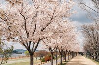 【厚生年金】4月は年金支給月。「ひと月16万円」の男性の割合はどのくらい？
