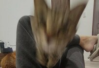 猫さんが飼い主めがけて驚きの〈大ジャンプ〉！？　躍動感あふれる姿ににSNSでは4.7万いいね