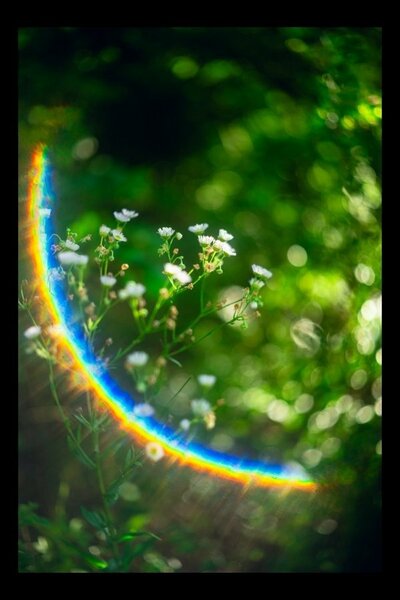 60年以上前のレンズで撮影した写真