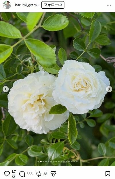 栗原はるみのInstagram投稿