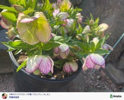 假屋崎省吾の公式ブログ投稿