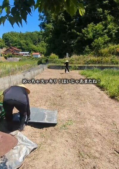 投稿の画像