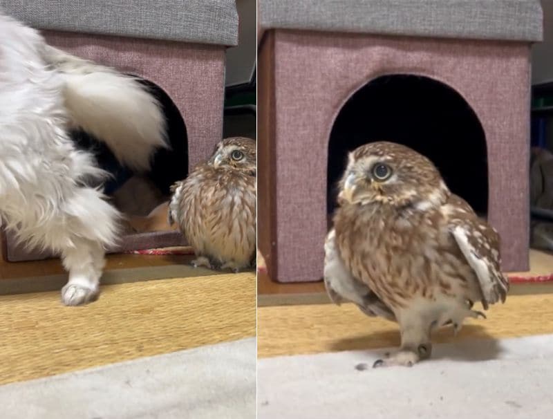 出所：@cr8673.hiro