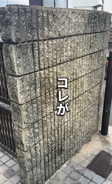 出所：＠yumea.home