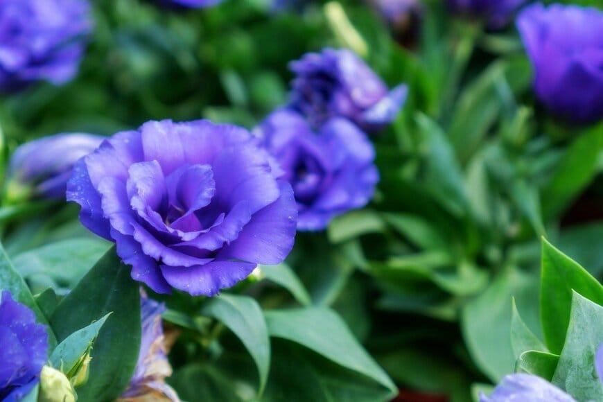 Bebenjy/istockphoto.com