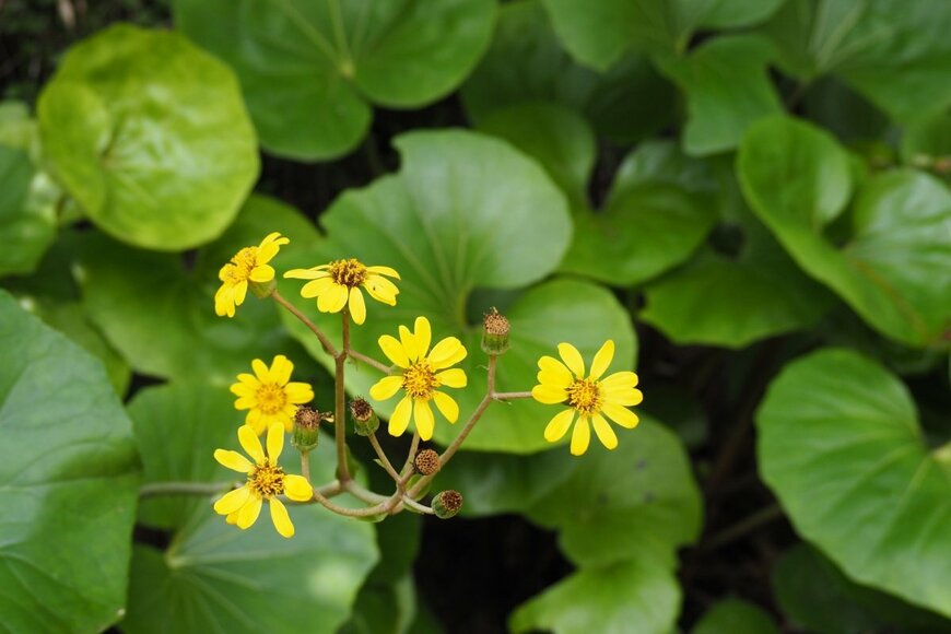 pote-poteco/shutterstock.com