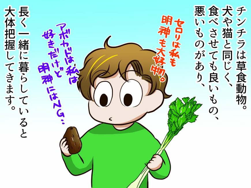 モフモフの毛皮がたまらない「チンチラ」の表現力はどのぐらい？【チンチライフ4話】