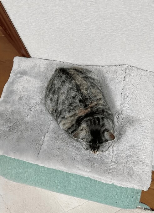 出所：@hikaitimilky