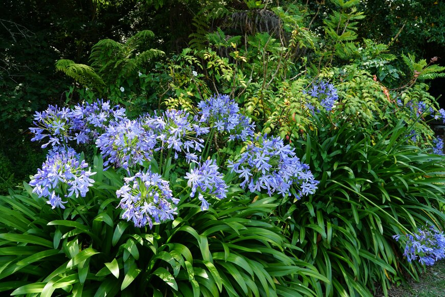 Roxana Badin/shutterstock.com