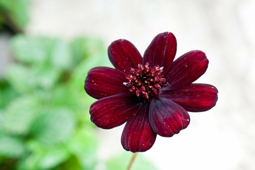 kinpouge05/istockphoto.com