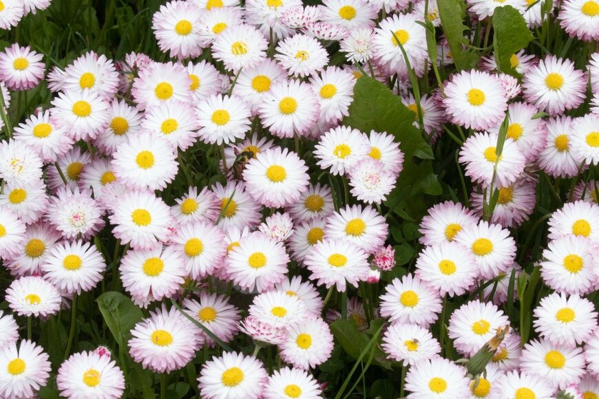 Karl Ander Adami/istockphoto.com