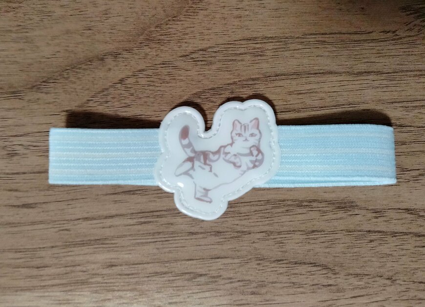 筆者撮影（キャンドゥ、キャットライフ　ランチベルト）