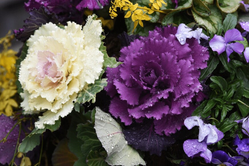 undefined undefined/istockphoto.com