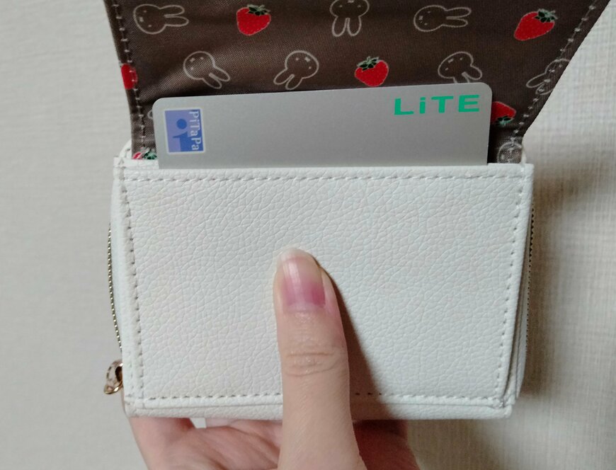 筆者撮影（宝島社、miffy カードが見やすい じゃばら式ミニ財布 BOOK）