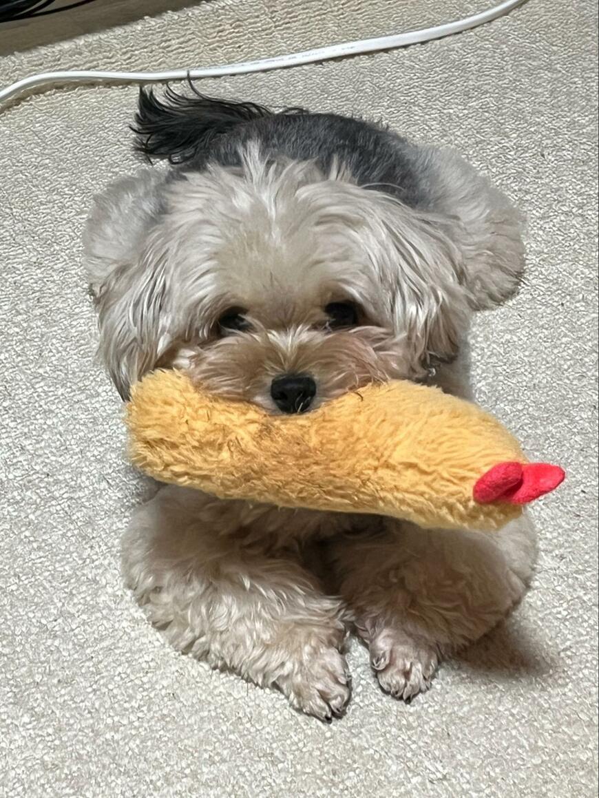 出所：@potage_0924