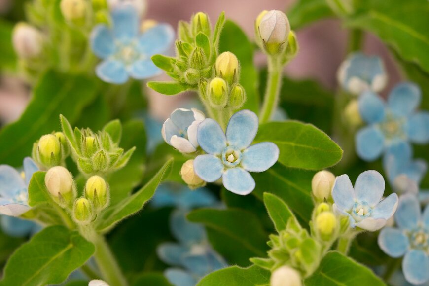 yoshi0511/Shutterstock.com