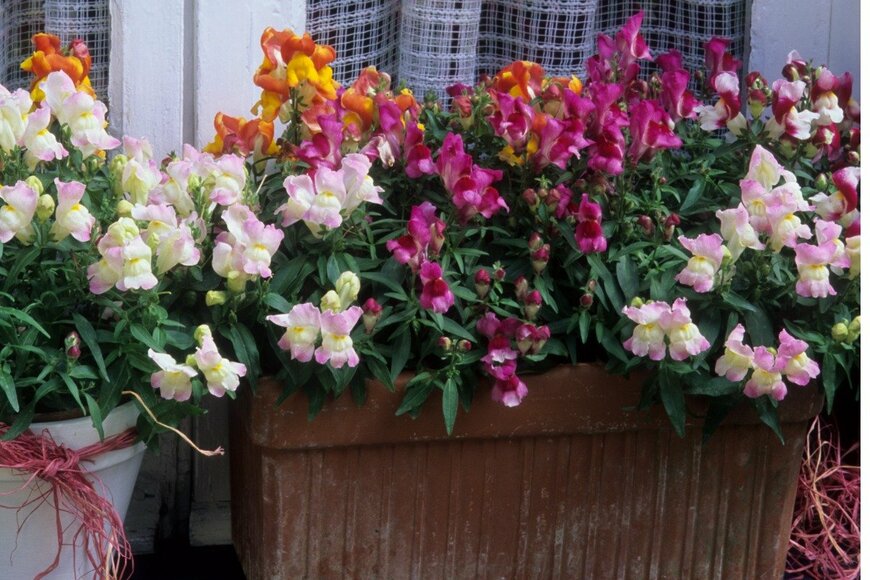 Michel VIARD/istockphoto.com