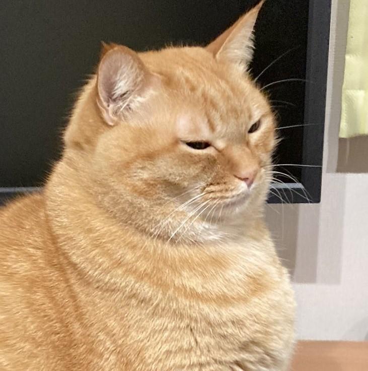 出所：@kagisuzu0531