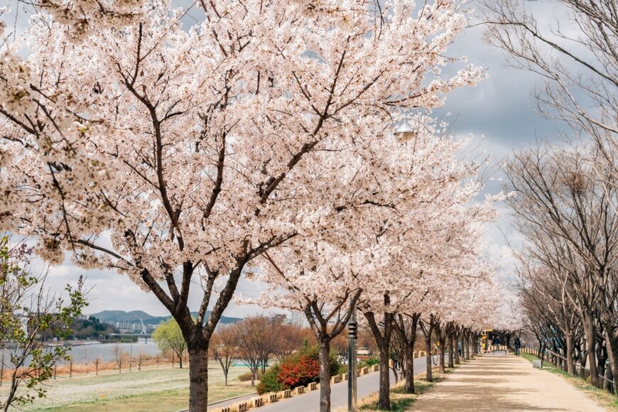 【厚生年金】4月は年金支給月。「ひと月16万円」の男性の割合はどのくらい？