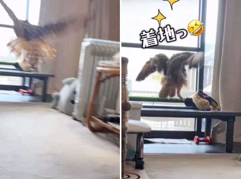 出所：@ba_chantolatte