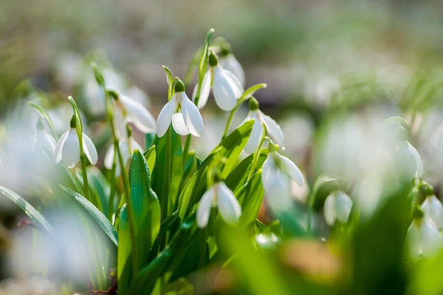 Haidamac/shutterstock.com