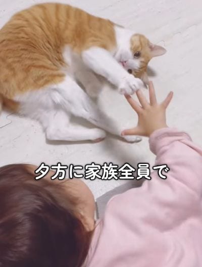 出所：@miko_nekoneko