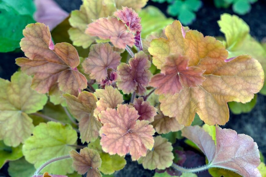 Summer 1810/shutterstock.com